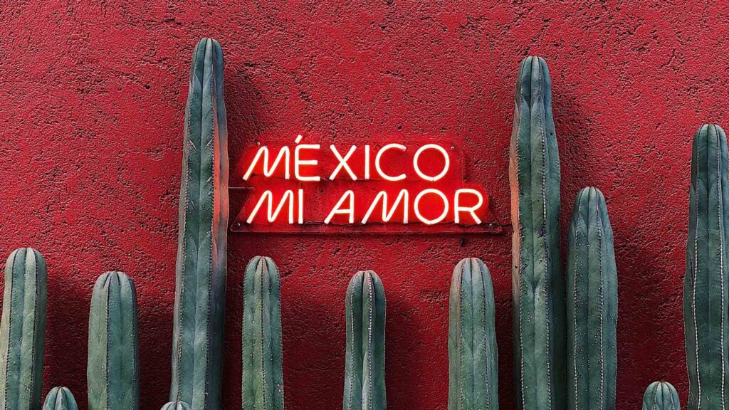 Frase en tubos de neón rojo con la leyenda: Mexico mi amor . Alrededor del letrero, hay cactus.